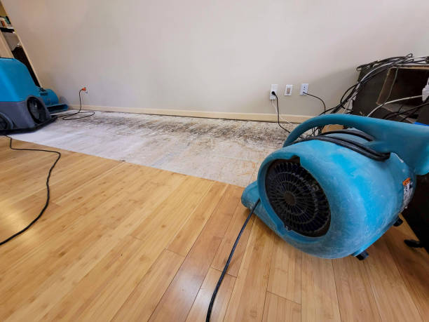 Professional Water Removal technician working in Prudenville, MI